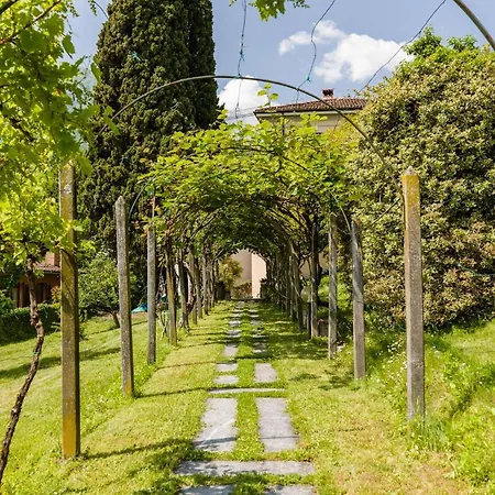 Pergola * 梅纳焦