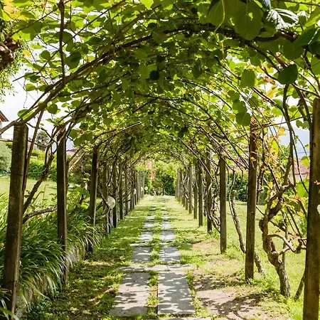 Villa Pergola *