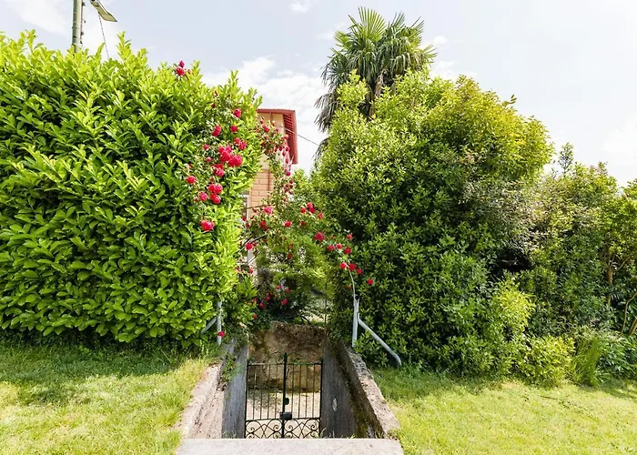 Pergola Vila *
